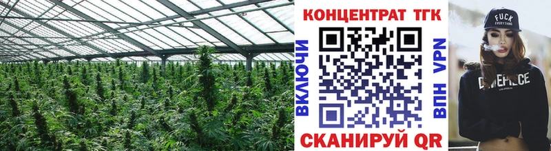 ТГК концентрат мориарти как зайти Полевской